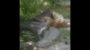 кис кис кис девушка сюрприз ✌︎#музыка#лето#ツ#Loveyou♡