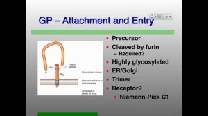 Vir_S18 Lecture15