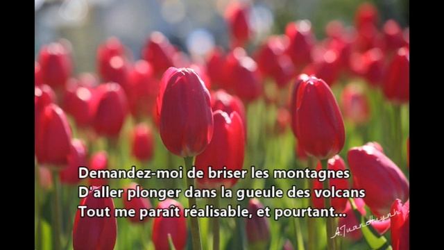 Anh Tuan: Le géant de papier (Jean Jacques Lafon) смотреть онлайн