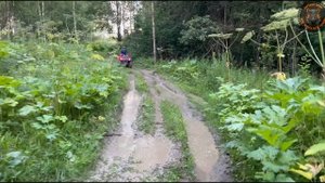 Искренние эмоции наших гостей