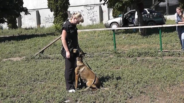 ОКД апортировка (Наташа и Гера) часть1 смотреть онлайн