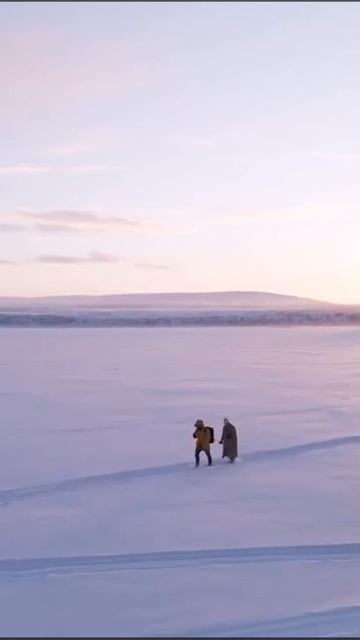 Video Aurora Village Igloo Norther Light Аврора Вилладж видео #auroravillage @auroravillage_murmans