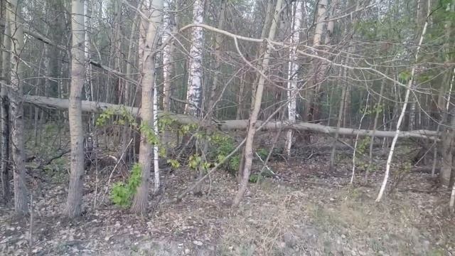 Подготовка к строительству сарая. смотреть онлайн