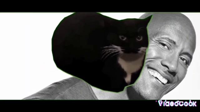 кот скалабум бум бум