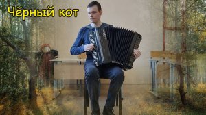 Чёрный кот. Маленькая импровизация на баяне от Саши Котова.