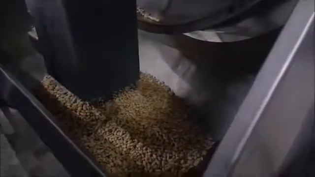 OS 200  семечки