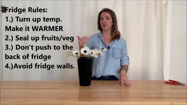 Refrigeration of DIY Wedding Flowers: Yes or No??? ~FLOWER MOXIE смотреть онлайн