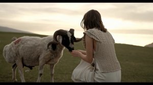 Почему у КОЗ И ОВЕЦ  зрачки КВАДРАТНЫЕ ???? РЕАЛЬНО ПОЧЕМУ ????