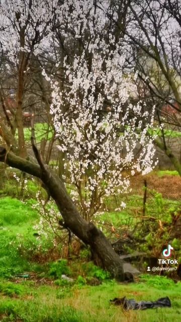 Украина весна 2022 смотреть онлайн