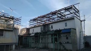 Николаевские голуби города Алатыря