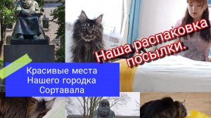 Наша распаковка посылки. Красивые места г. Сортавала.