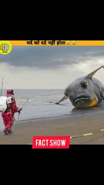 प्राचीन काल की 3 सबसे बेकार और भयानक सजाएं @itzaman1m233   @FactShip01 #shorts #ytshorts смотреть онлайн