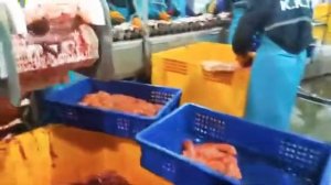 Работа на Камчатке Рыбалку 🐟 2020