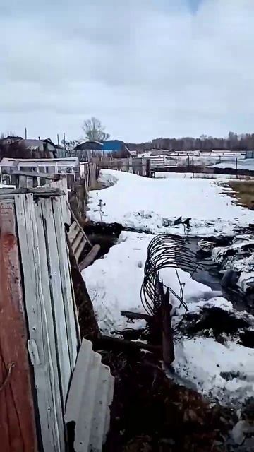 #quotes #кошка #милая💓💓 смотреть онлайн