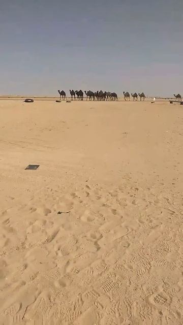 UTMN project at udhaliyah models смотреть онлайн