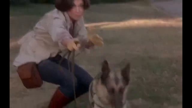 прикол смотреть онлайн