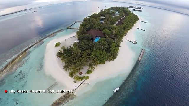 Explore Lily Beach Resort & Spa Maldives - 5-Star Hotel Beach Resort in Maldives смотреть онлайн