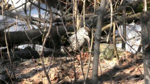 В КАЛИНОВСКОМ ЛЕСОПАРКЕ!