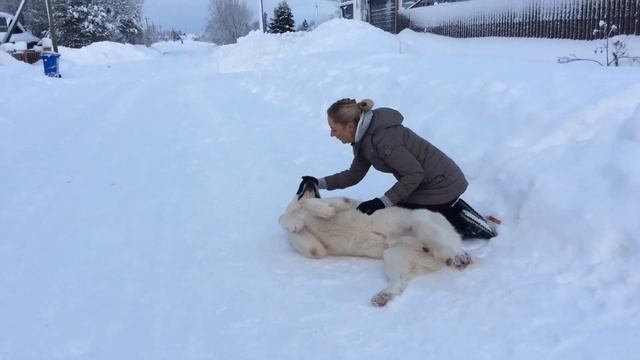 Али Аладжа Эксклюзив смотреть онлайн