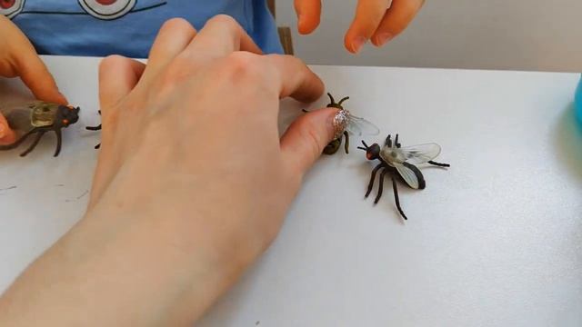 Насекомые. Раскопки