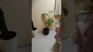 обзор отеля Винговер, п. Сукко