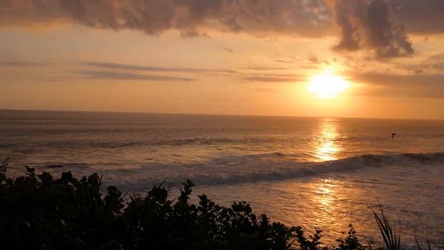 Honor Play Camera Review in Tamil | தமிழ் | Best 4K video ? |Best Camera Phone under 20k ? смотреть онлайн