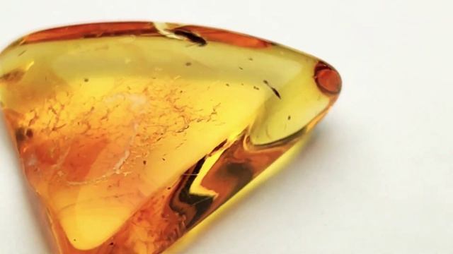 Инклюз в янтаре. смотреть онлайн