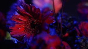 Свадьба в русском стиле, русская свадьба Сочи Краснодар