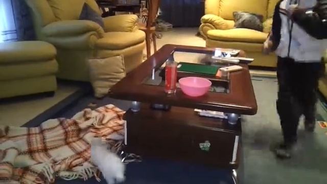 Marvin Tufa *Lepurushi* смотреть онлайн