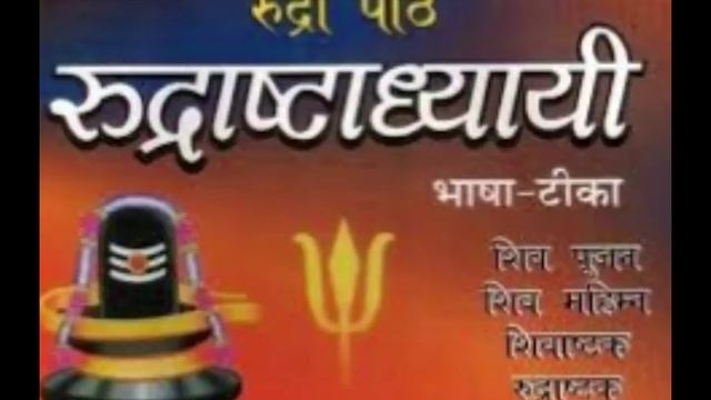 सम्पूर्ण रुद्राष्टाध्यायी पाठ स्पष्ट श्लोक | श्रावण रुद्राष्टाध्यायी पाठ | rudra ashtadhyayi смотреть онлайн
