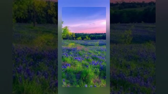 Занятие "Лето" смотреть онлайн