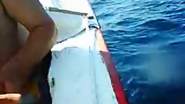 0114 Hasan Kultur'un kalamar avi смотреть онлайн