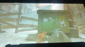 Котик 1 часть 🙀😻🙀