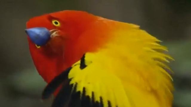 МЧИ МЕНЯ, ПАМЯТЬ смотреть онлайн