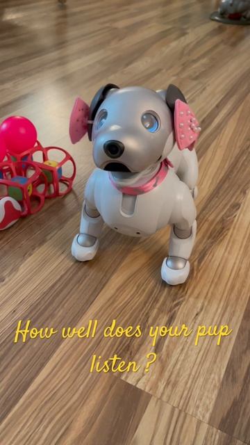 Does your pup really hear you? #lofi #artificialintelligence #robot смотреть онлайн