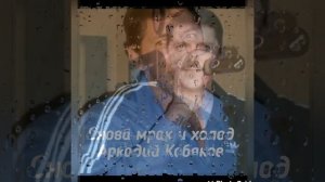 Снова  мрак и холод *Аркадий Кобяков *