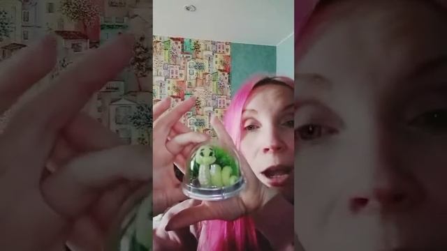 #рекомендации #мыловарение #животные #2025 готовлюсь к празднику #новыйгод #змея смотреть онлайн