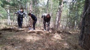 землянка в лесу своими руками (часть 1)