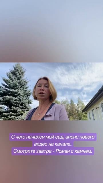 #малоуходныйсад #садовод #сад #красота #хвойные #природа #дизайнсада #ландшафтныйдизайн смотреть онлайн