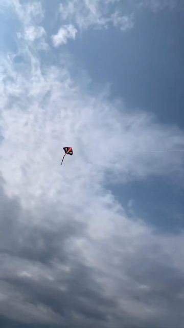 Kite Festival | Citadel Halifax #shorts смотреть онлайн