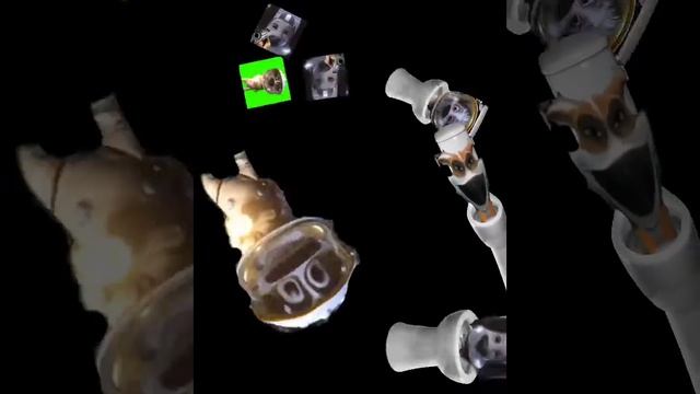 на стрелку напали скибиди туалеты смотреть онлайн