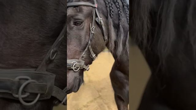 СКОЛЬКО СТОИТ? Часть 3 смотреть онлайн