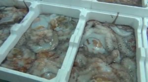 Морепродукты Италия