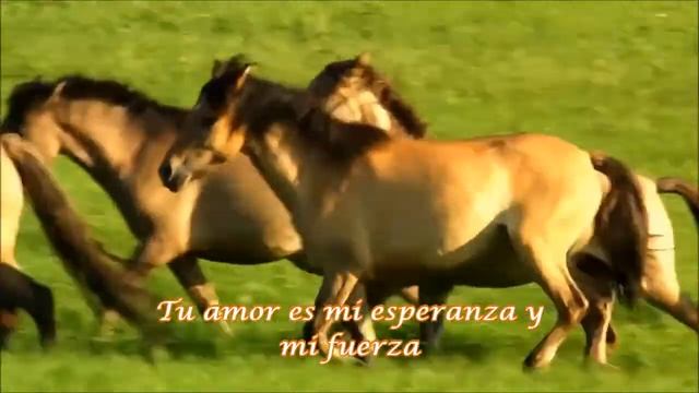 All I Ever Wanted Bonnie Tyler ( subtitulada españ смотреть онлайн