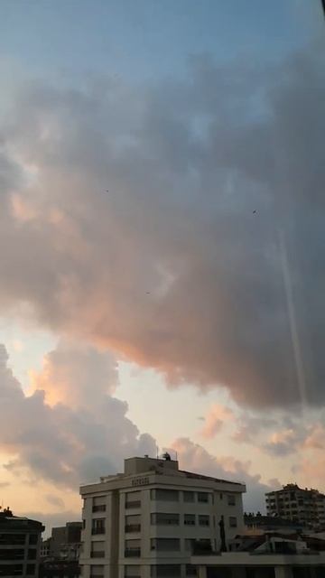 shorts  Юра Шатунов Розовый вечер