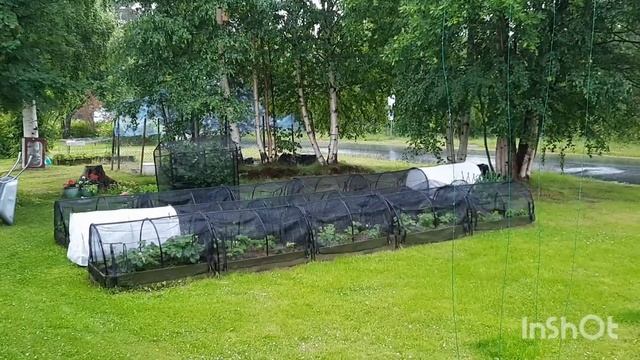 Швеция! Эти летние дожди...Песня без заявки! смотреть онлайн