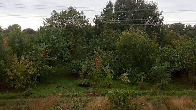 Мой осенний лес. 16.09.22 смотреть онлайн