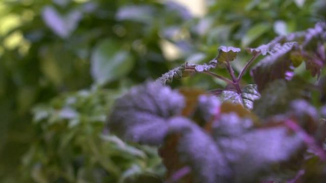 Architectural Jungle #verticalfarming #3dprinting #SAlab #sustainability