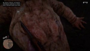 Охота на легендарного крокодила в RDR2