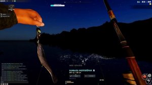 Камбала Желтоперая Fisher online